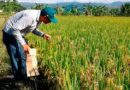 Gobierno apoya proyecto para manejo orgánico de la agricultura